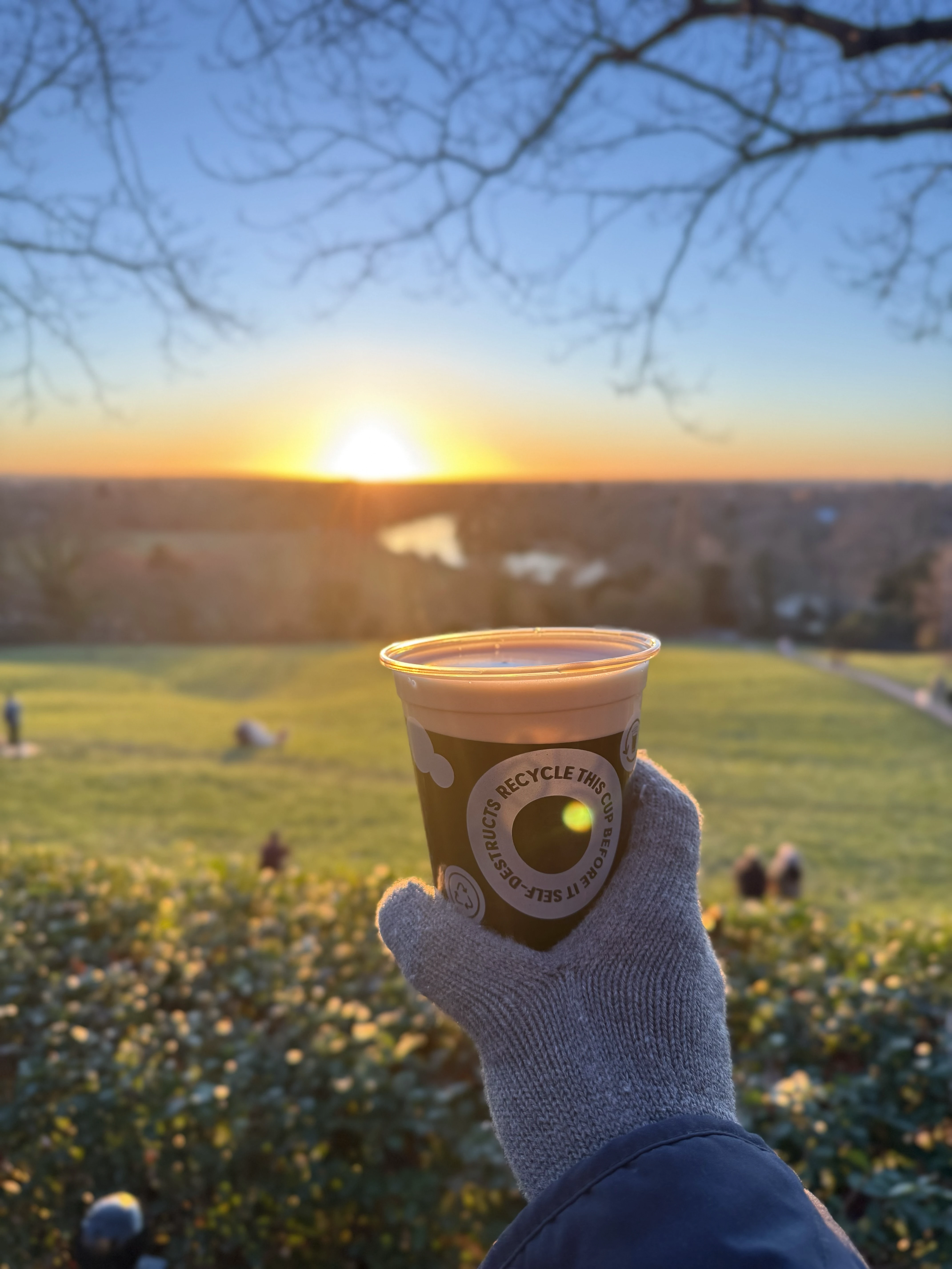 Image of Guinness drink