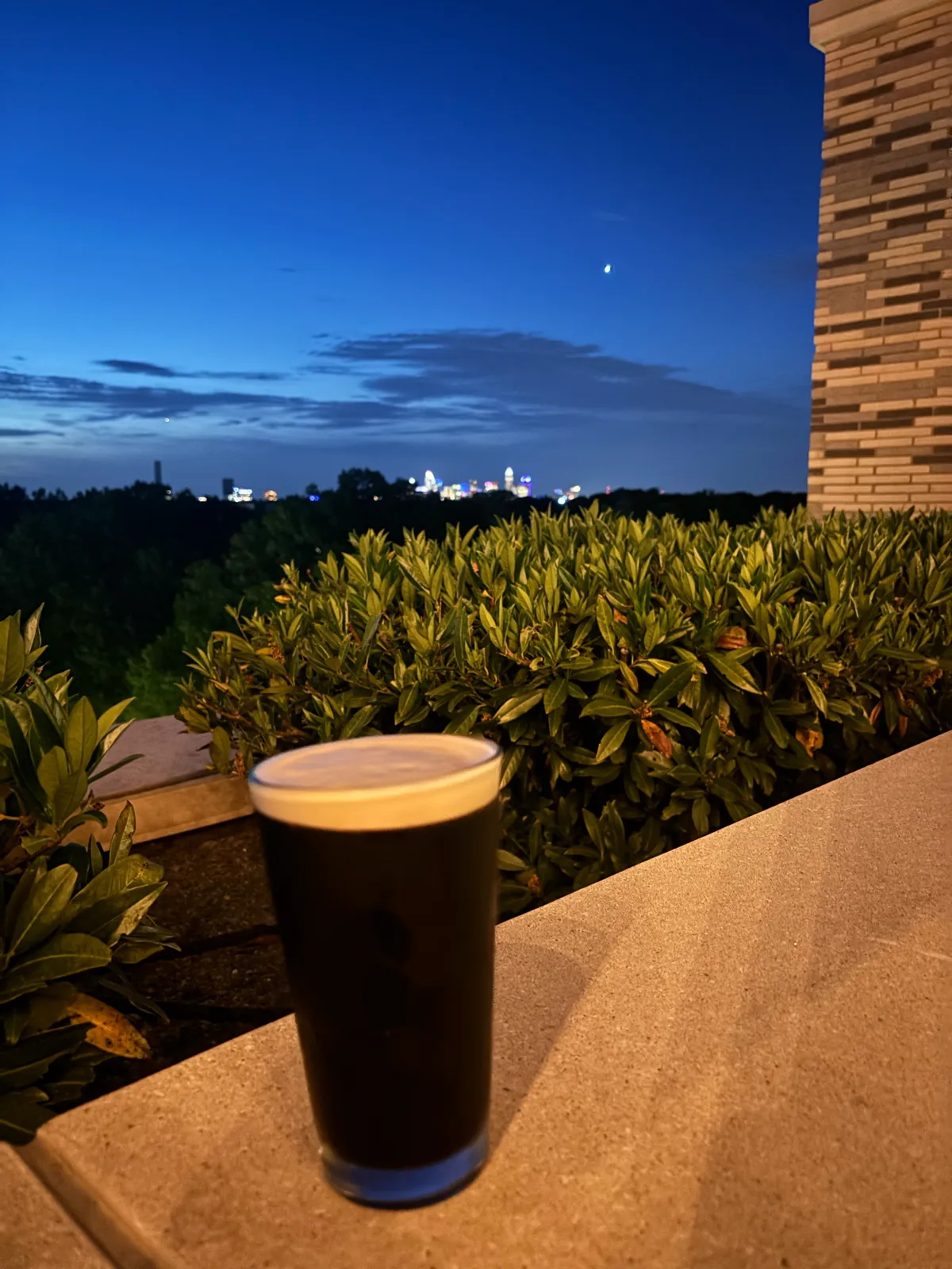 Image of Guinness drink 1