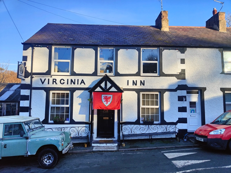 Image of Guinness drink