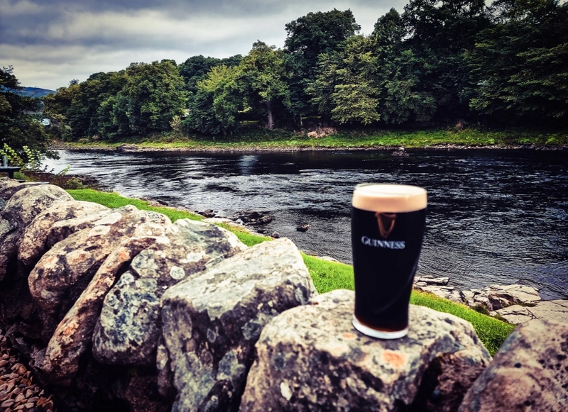 Image of Guinness drink