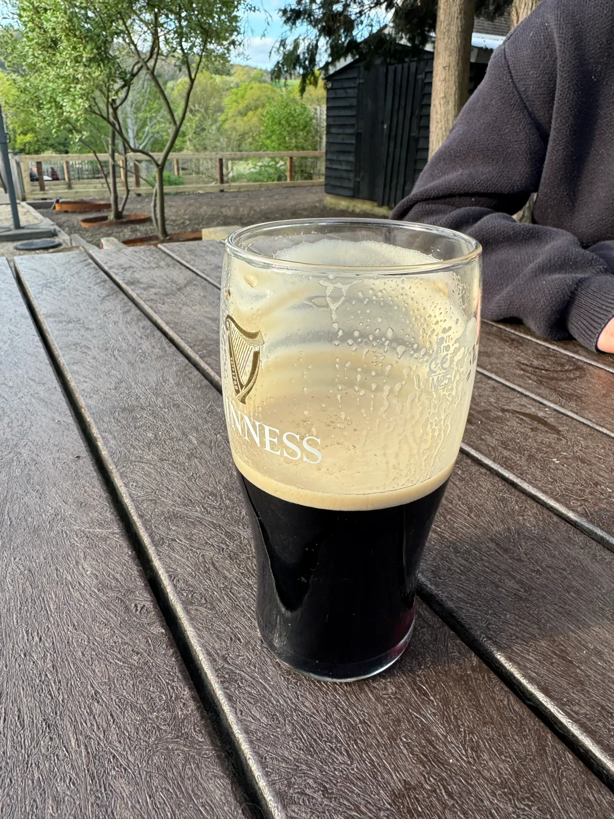 Image of Guinness drink