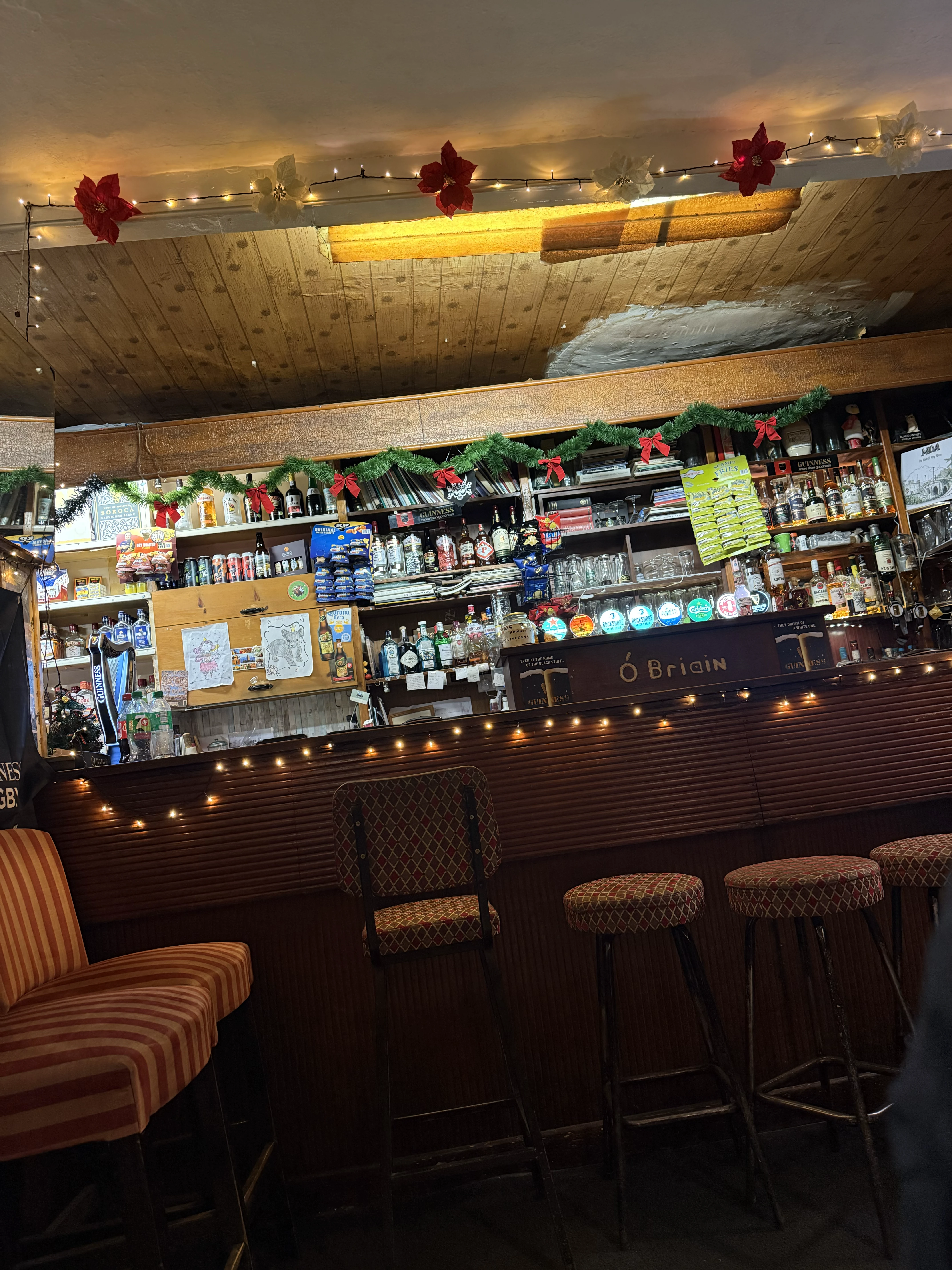 Image of Guinness drink