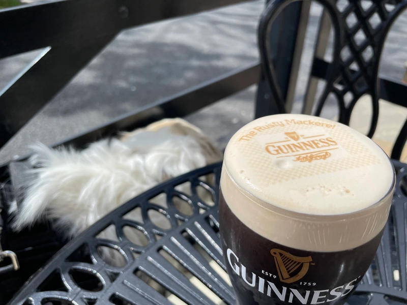 Image of Guinness drink