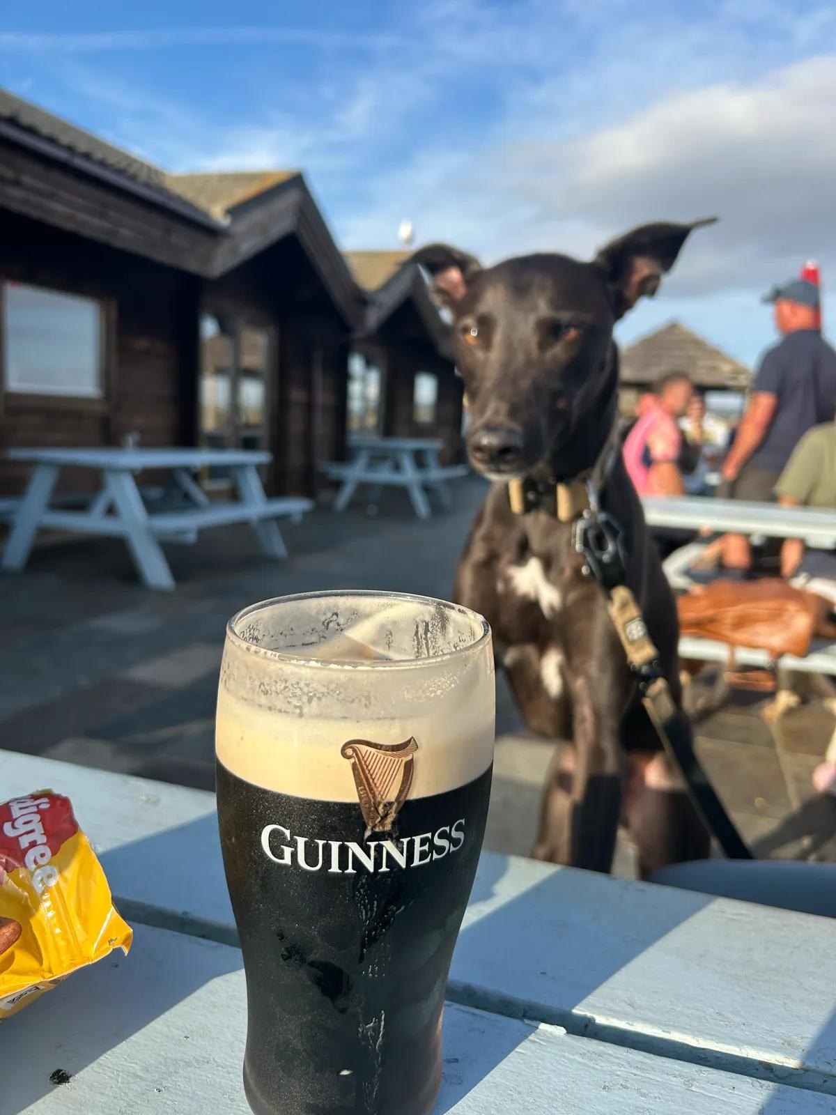 The Ski Bar