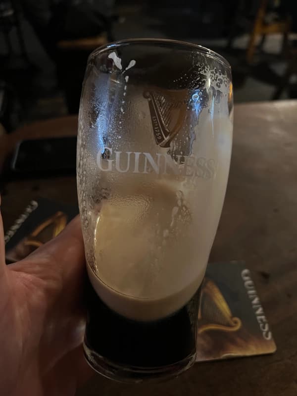 John Kavanagh's The Gravediggers