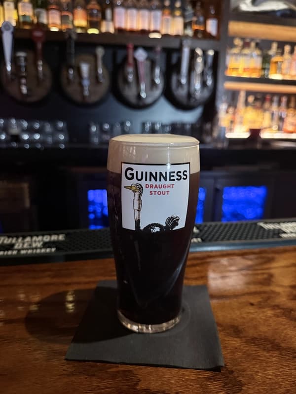 McGonigel's Mucky Duck