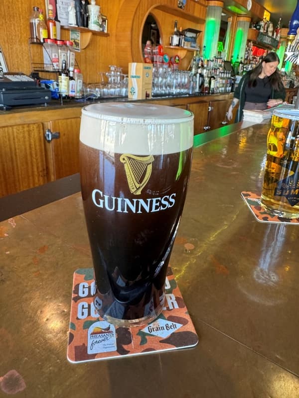 The Dubliner Pub