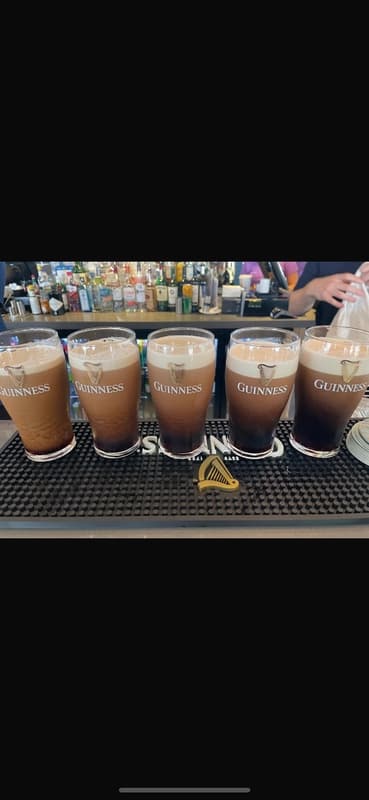 The Temple Bar Pub