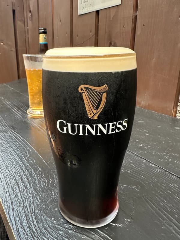 The Castle Inn