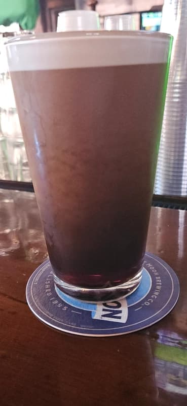Ryan's Irish Pub Inc