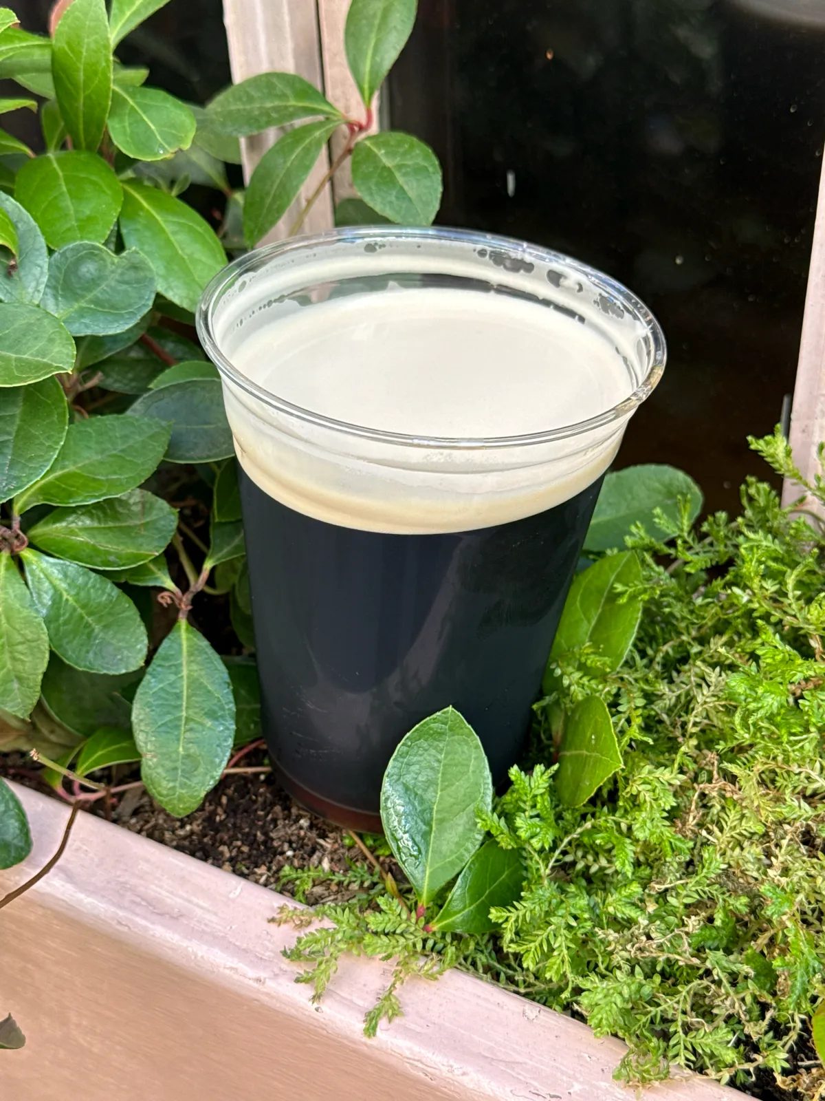 Image of Guinness drink