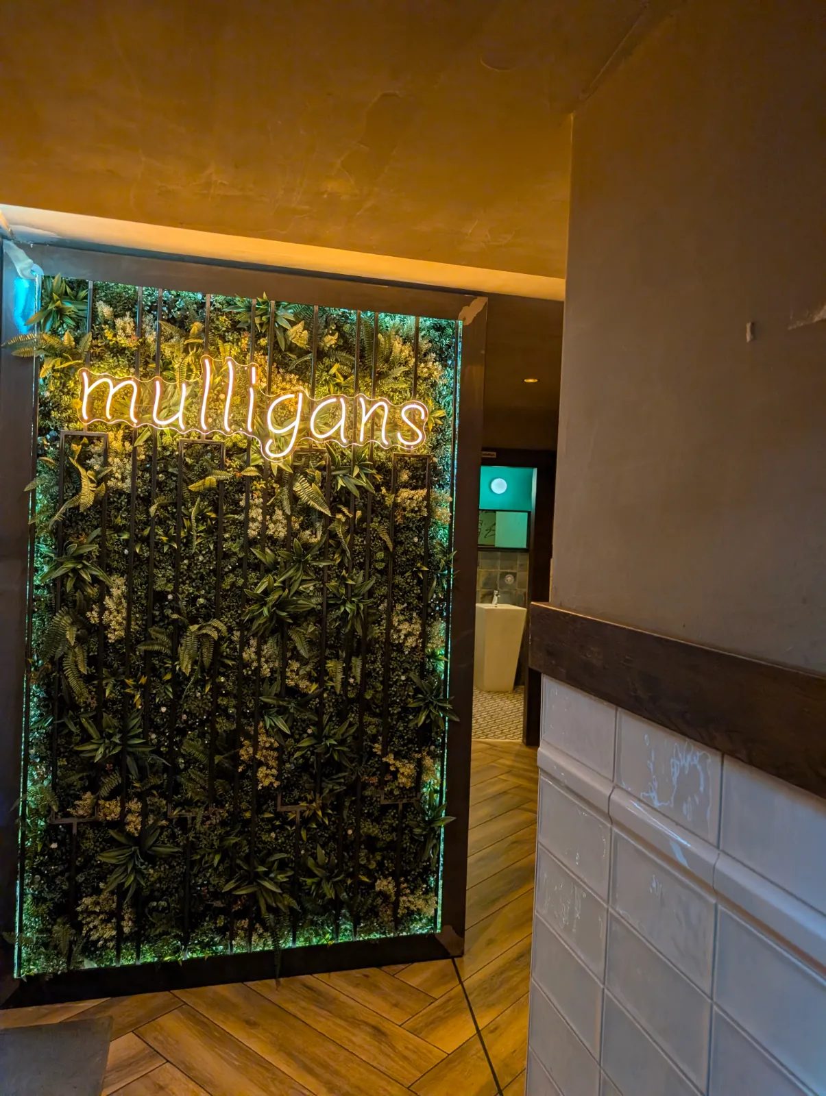 Image of Guinness drink