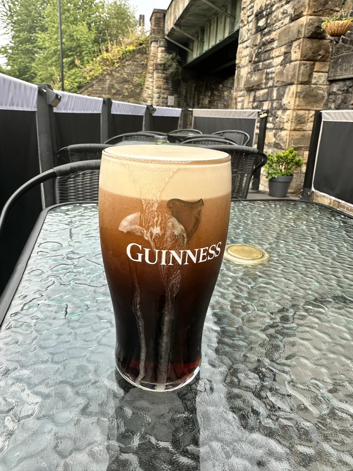 Image of Guinness drink