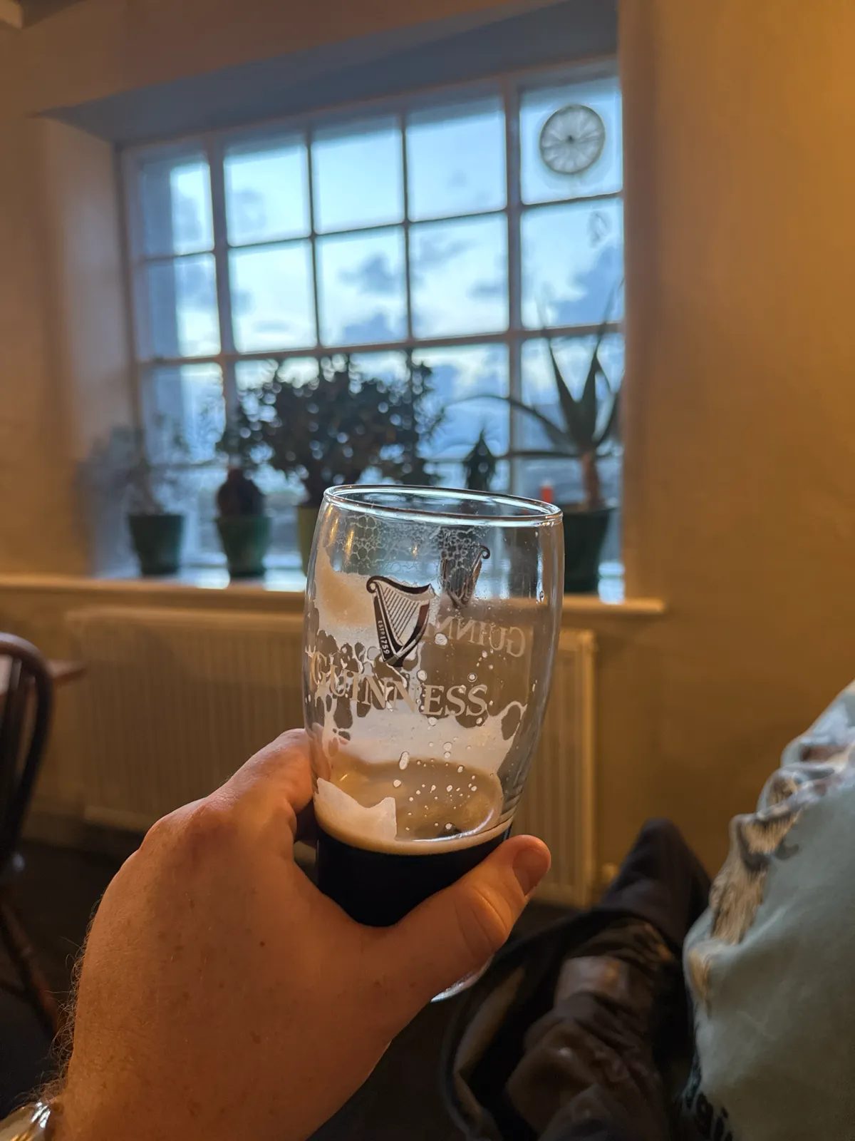 Image of Guinness drink