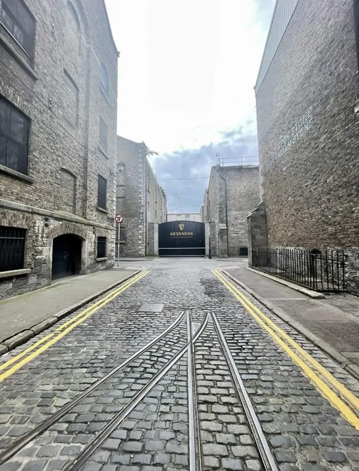 Image of Guinness drink