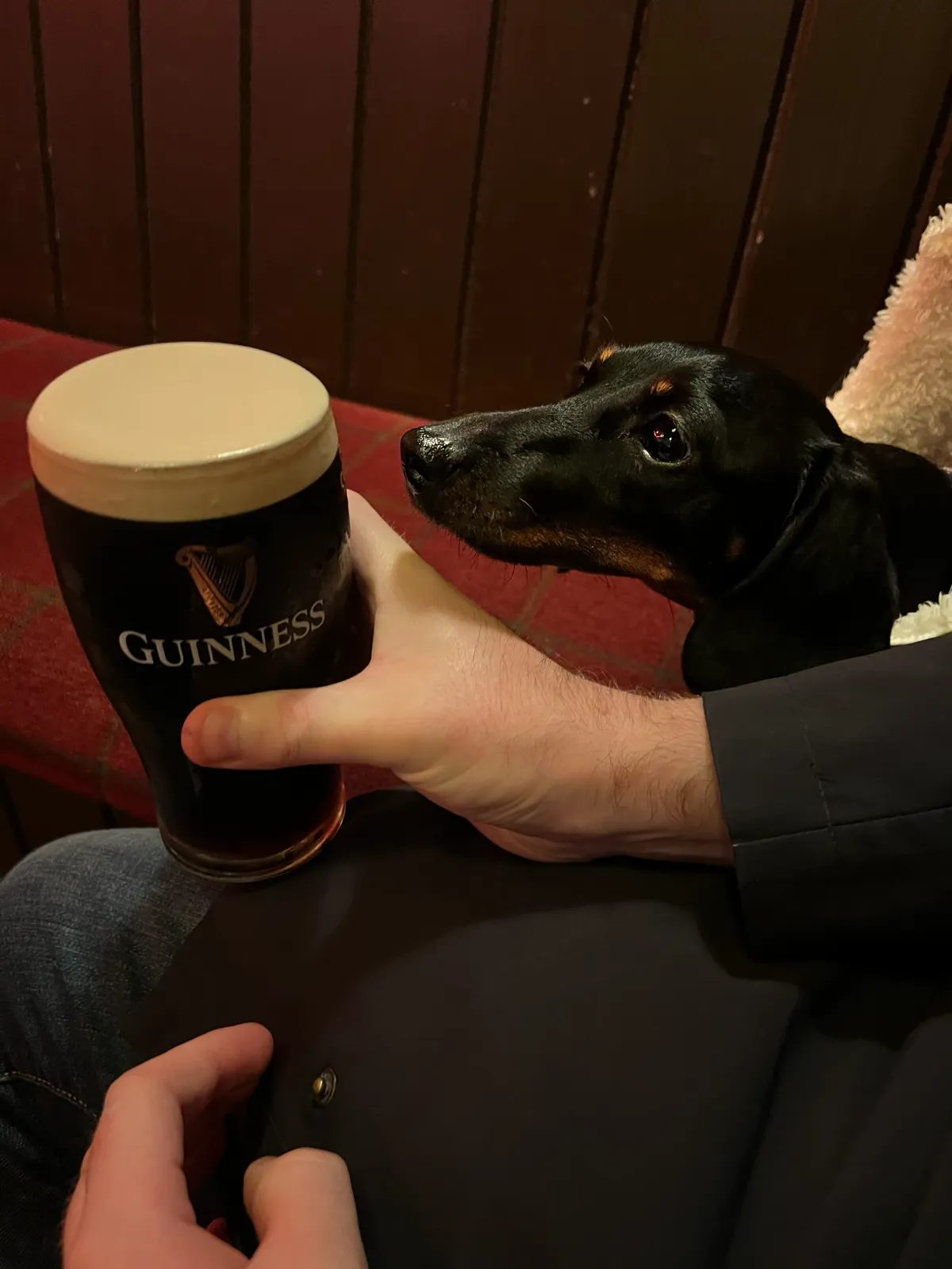 Image of Guinness drink