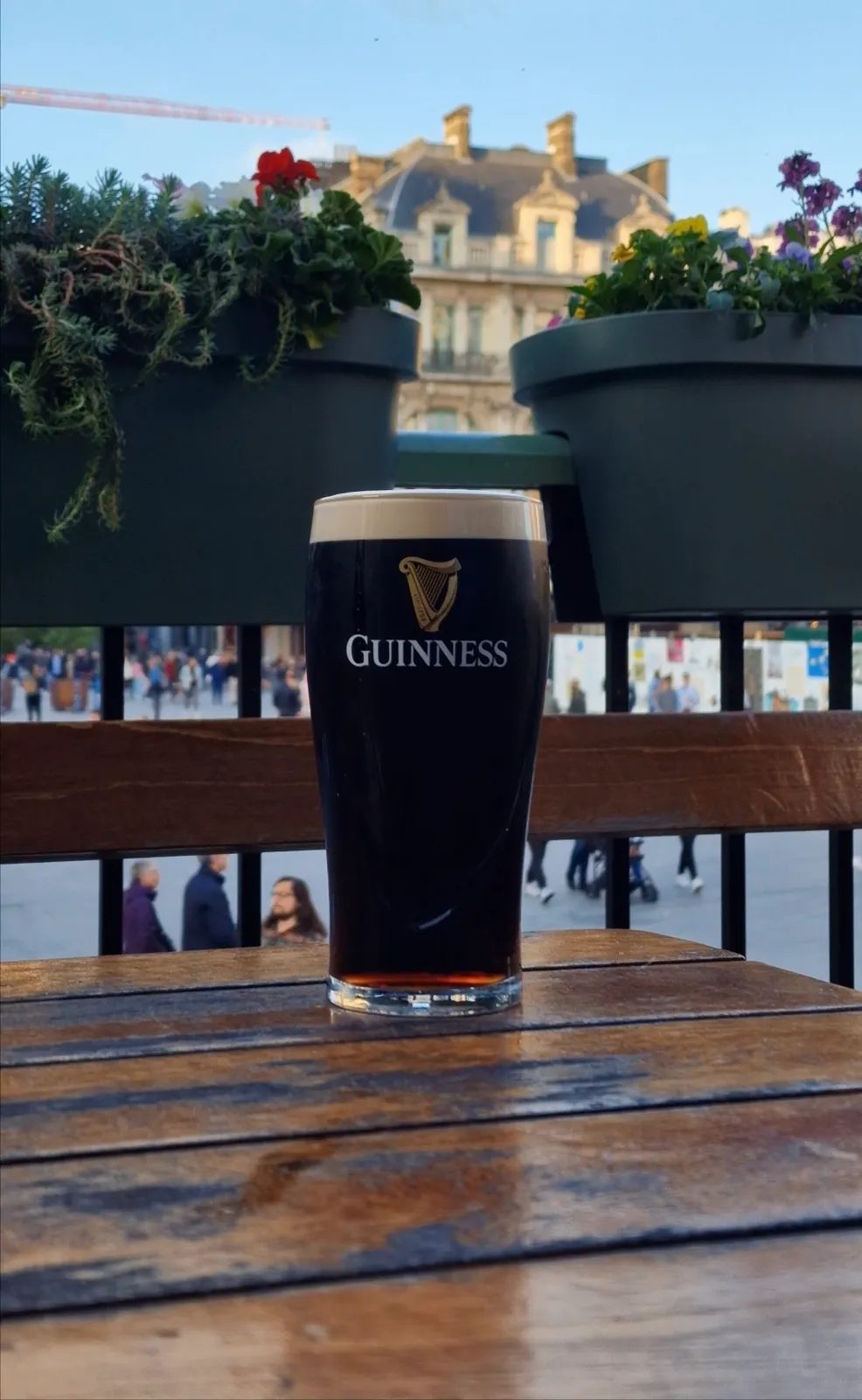 Image of Guinness drink