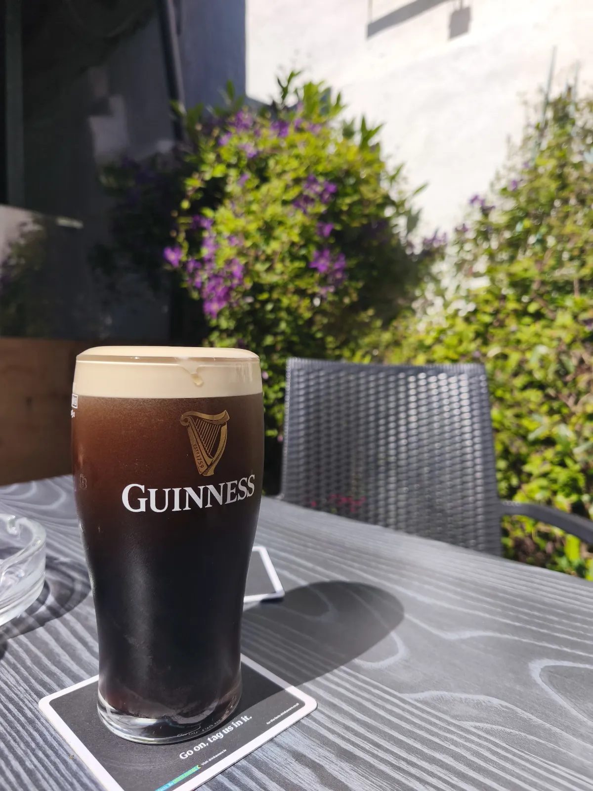 Image of Guinness drink