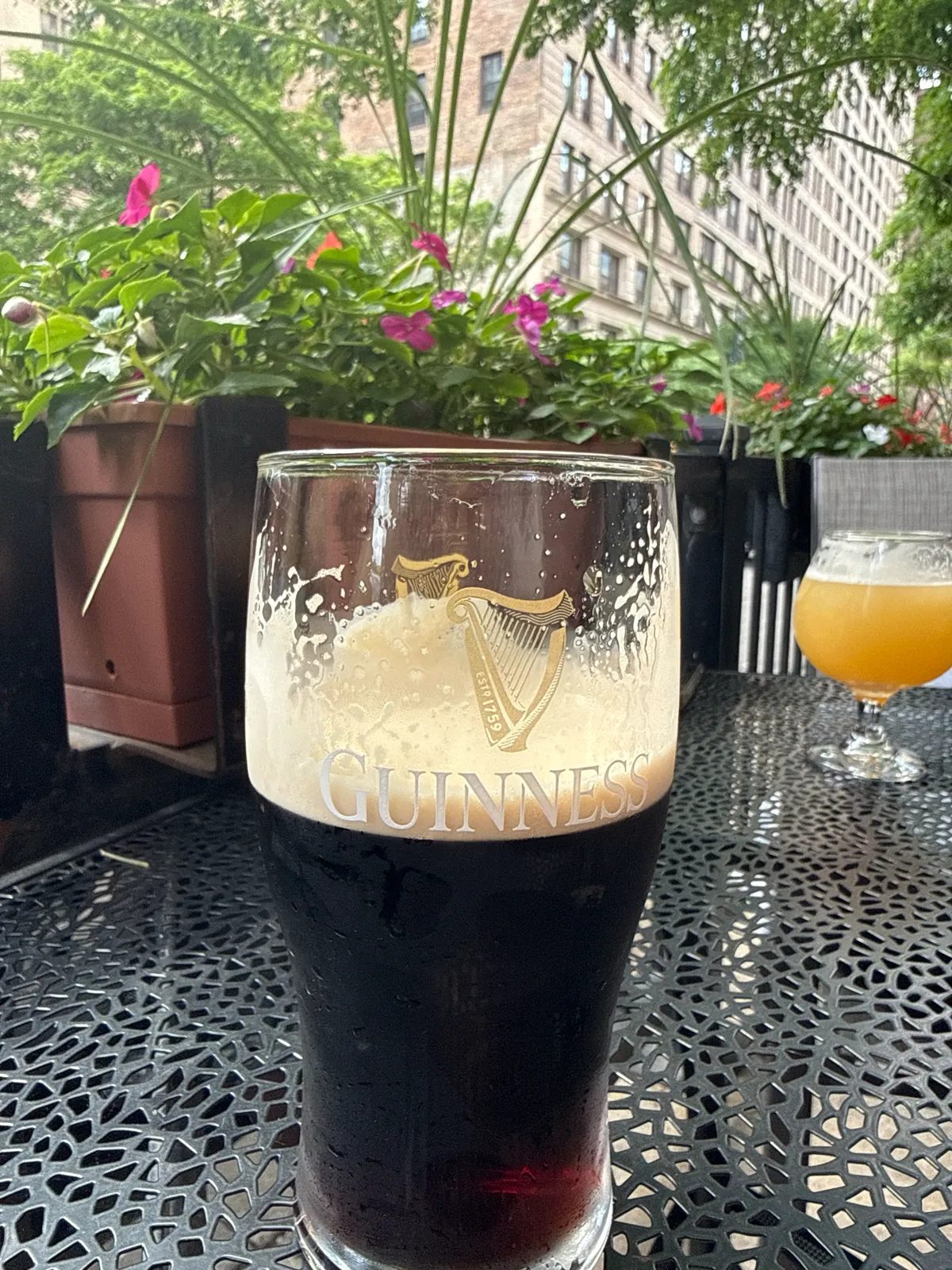 Image of Guinness drink