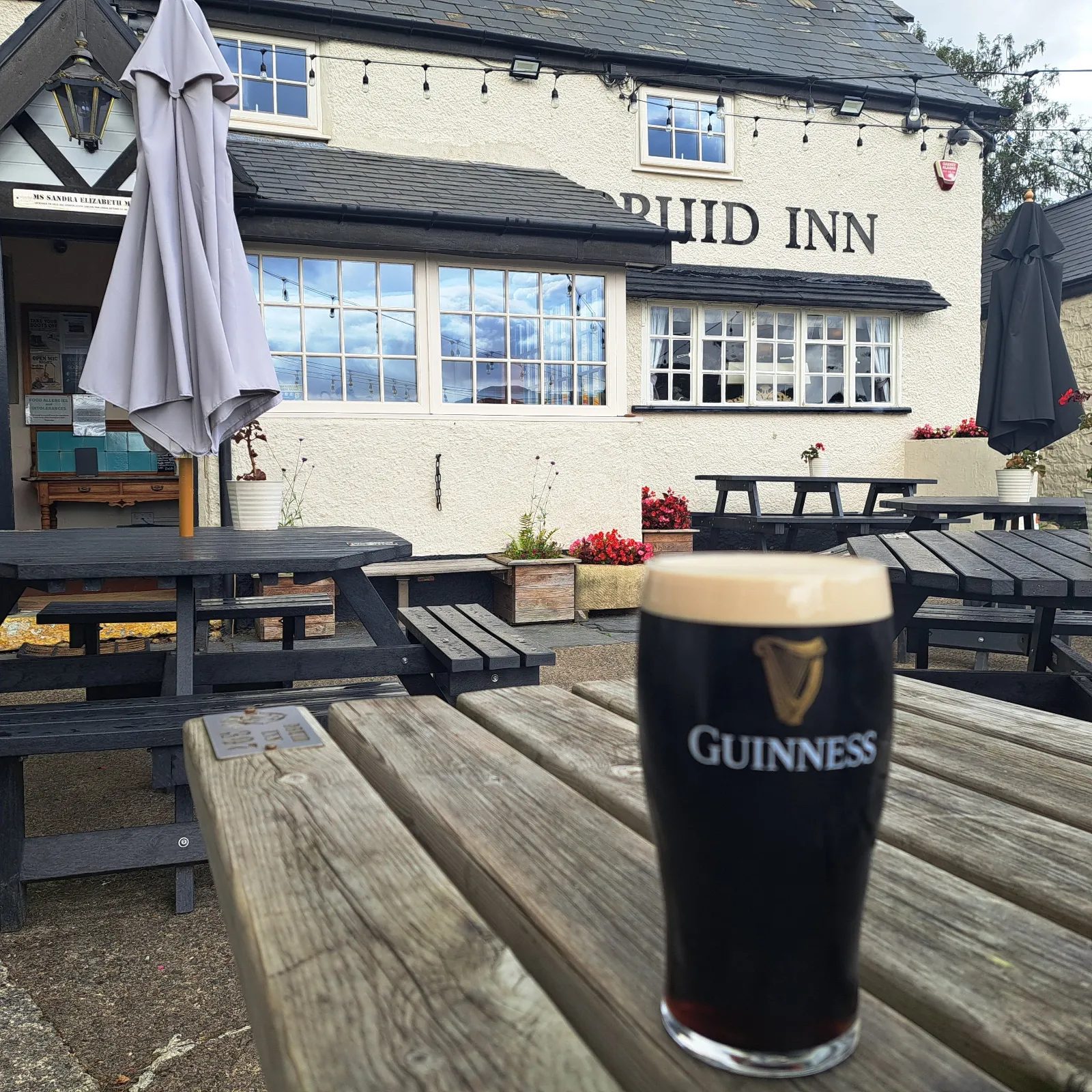 Image of Guinness drink 1