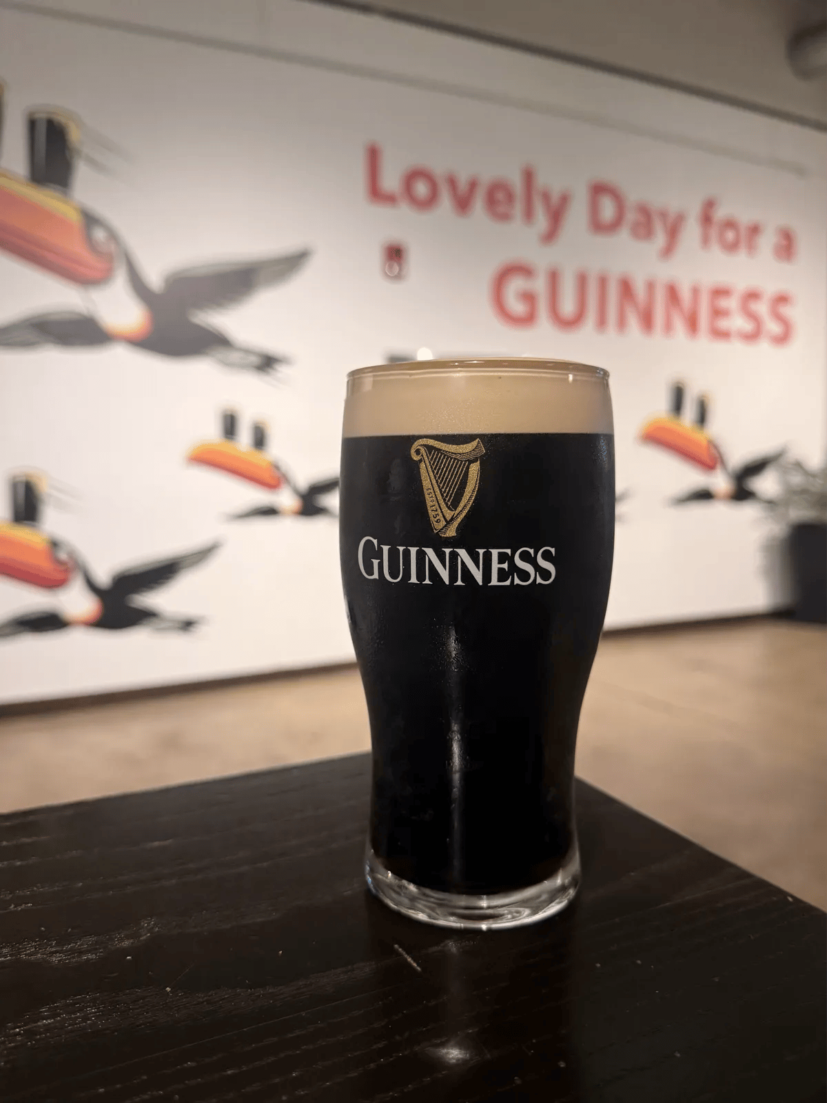 Image of Guinness drink