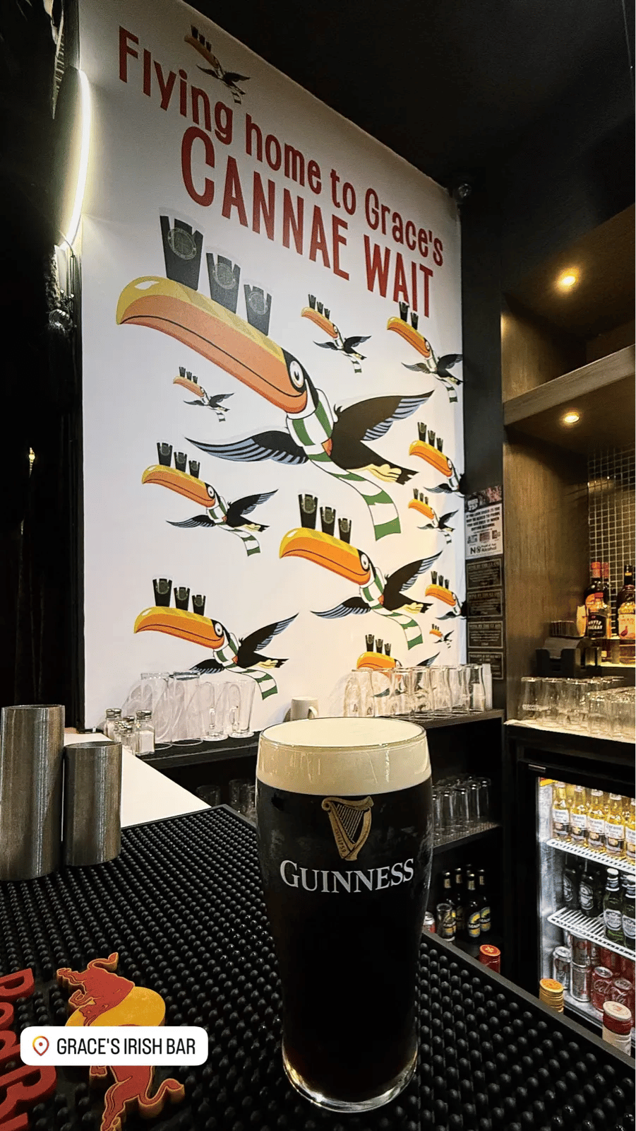 Image of Guinness drink